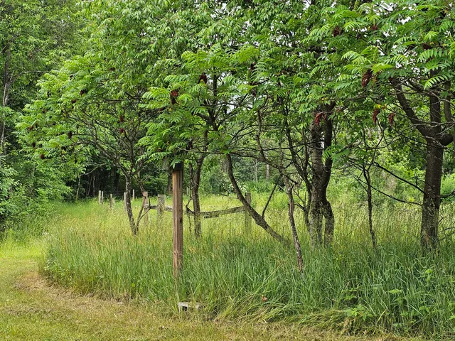 $429,900 | 3607 West Bawkey Road, Farwell, MI 48622