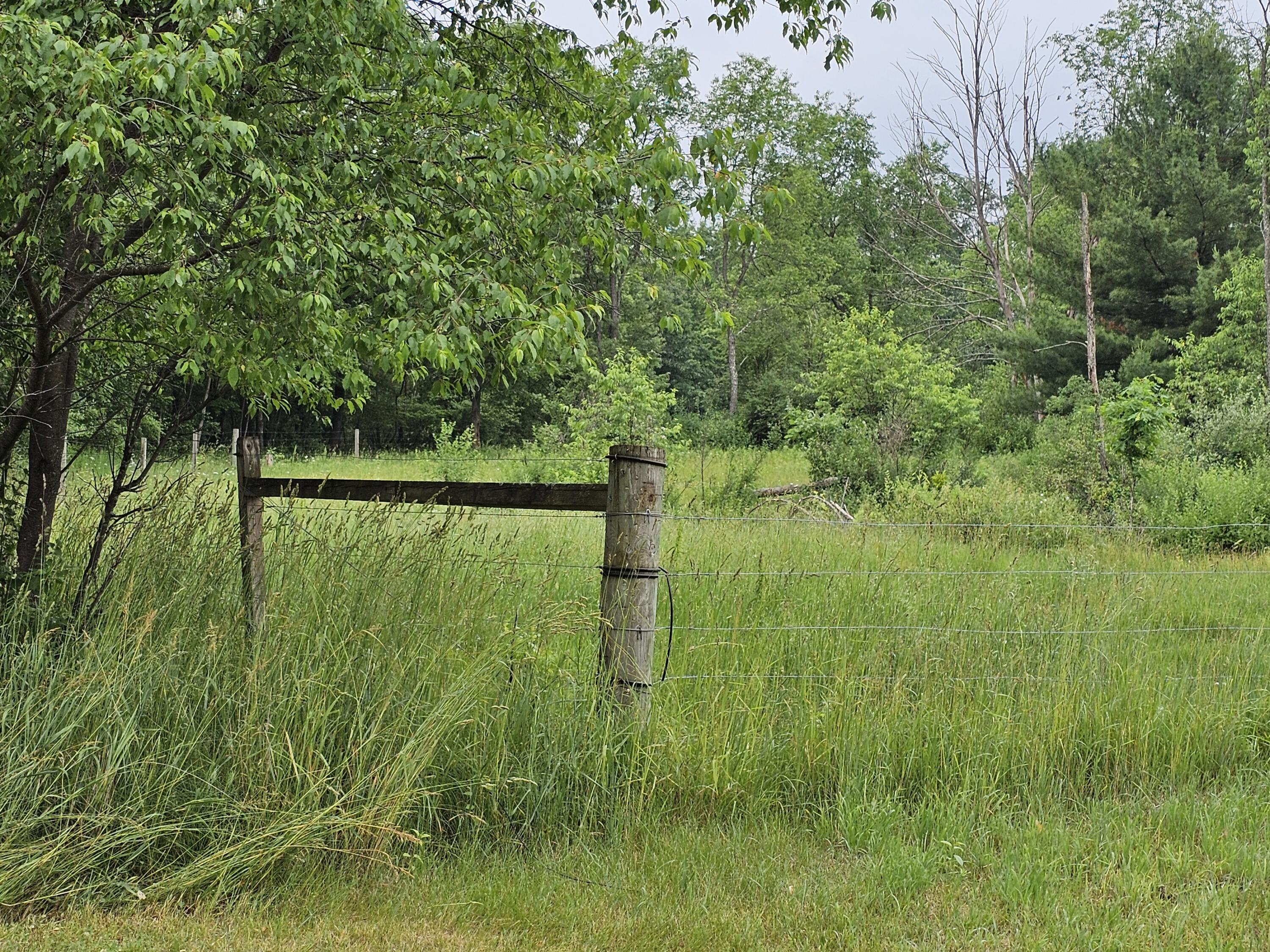 3607 West Bawkey Road Farwell, MI 48622 - Photo 28 of 61 1000010086