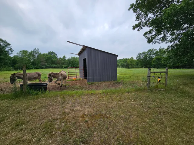 $429,900 | 3607 West Bawkey Road, Farwell, MI 48622