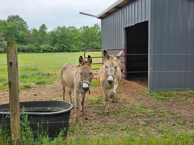 $429,900 | 3607 West Bawkey Road, Farwell, MI 48622