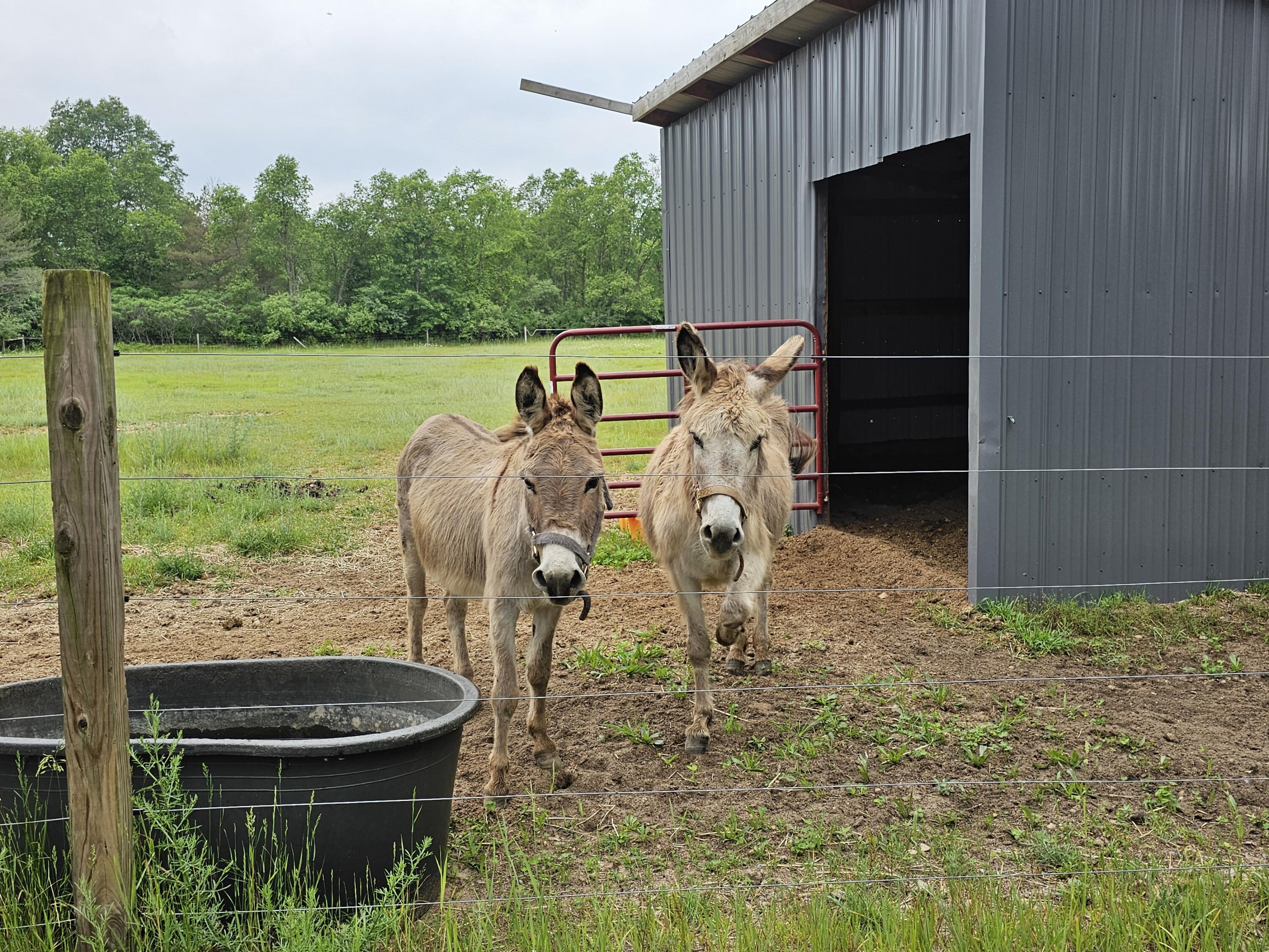 3607 West Bawkey Road Farwell, MI 48622 - Photo 32 of 61 1000010098