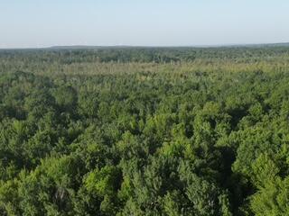 3607 West Bawkey Road Farwell, MI 48622 - Photo 33 of 61 1000010172