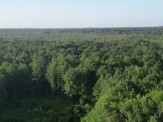 $429,900 | 3607 West Bawkey Road, Farwell, MI 48622