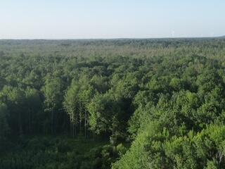 3607 West Bawkey Road Farwell, MI 48622 - Photo 34 of 61 1000010171