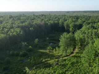 3607 West Bawkey Road Farwell, MI 48622 - Photo 36 of 61 1000010168