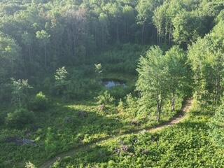 3607 West Bawkey Road Farwell, MI 48622 - Photo 37 of 61 1000010169