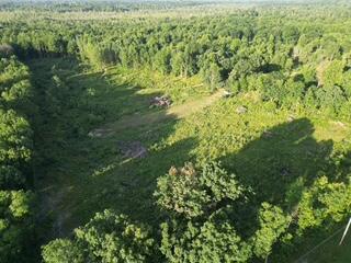 3607 West Bawkey Road Farwell, MI 48622 - Photo 39 of 61 1000010152