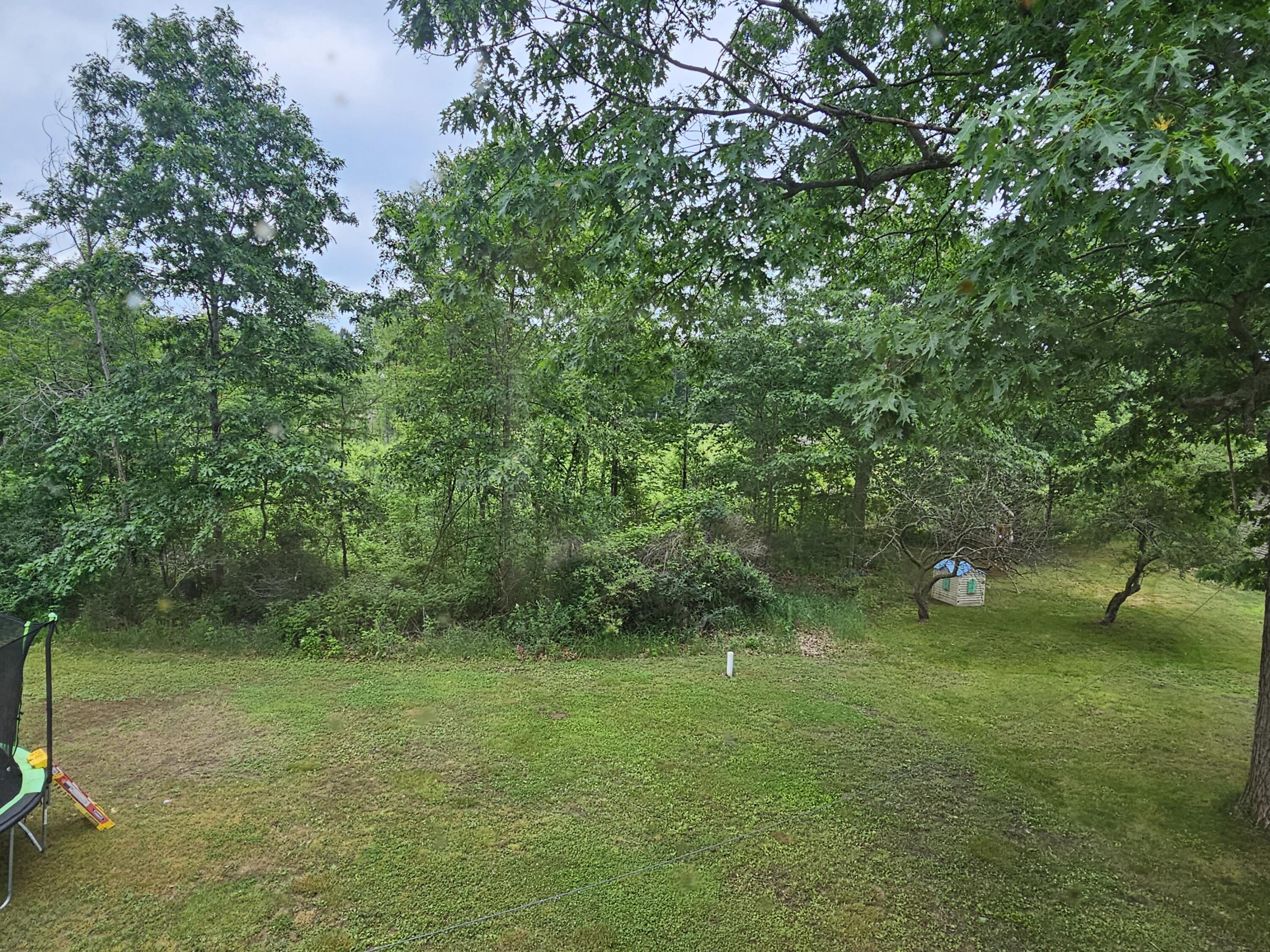 3607 West Bawkey Road Farwell, MI 48622 - Photo 47 of 61 1000010130