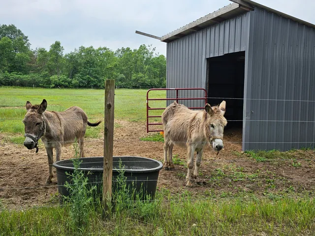 $429,900 | 3607 West Bawkey Road, Farwell, MI 48622