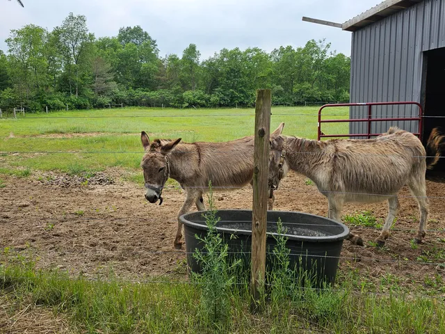 $429,900 | 3607 West Bawkey Road, Farwell, MI 48622