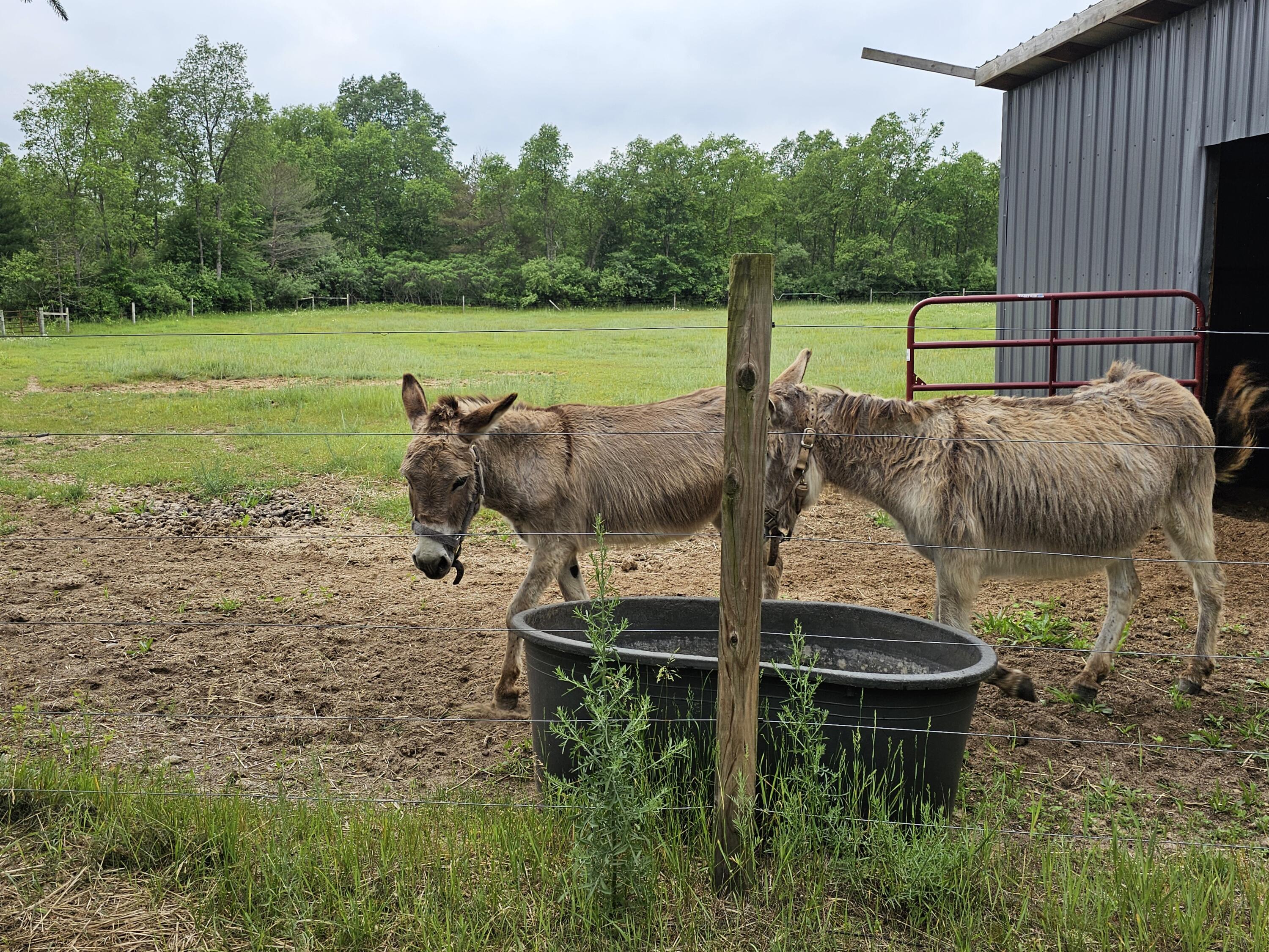 3607 West Bawkey Road Farwell, MI 48622 - Photo 49 of 61 1000010100