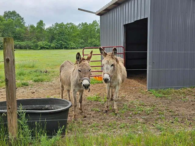 $429,900 | 3607 West Bawkey Road, Farwell, MI 48622