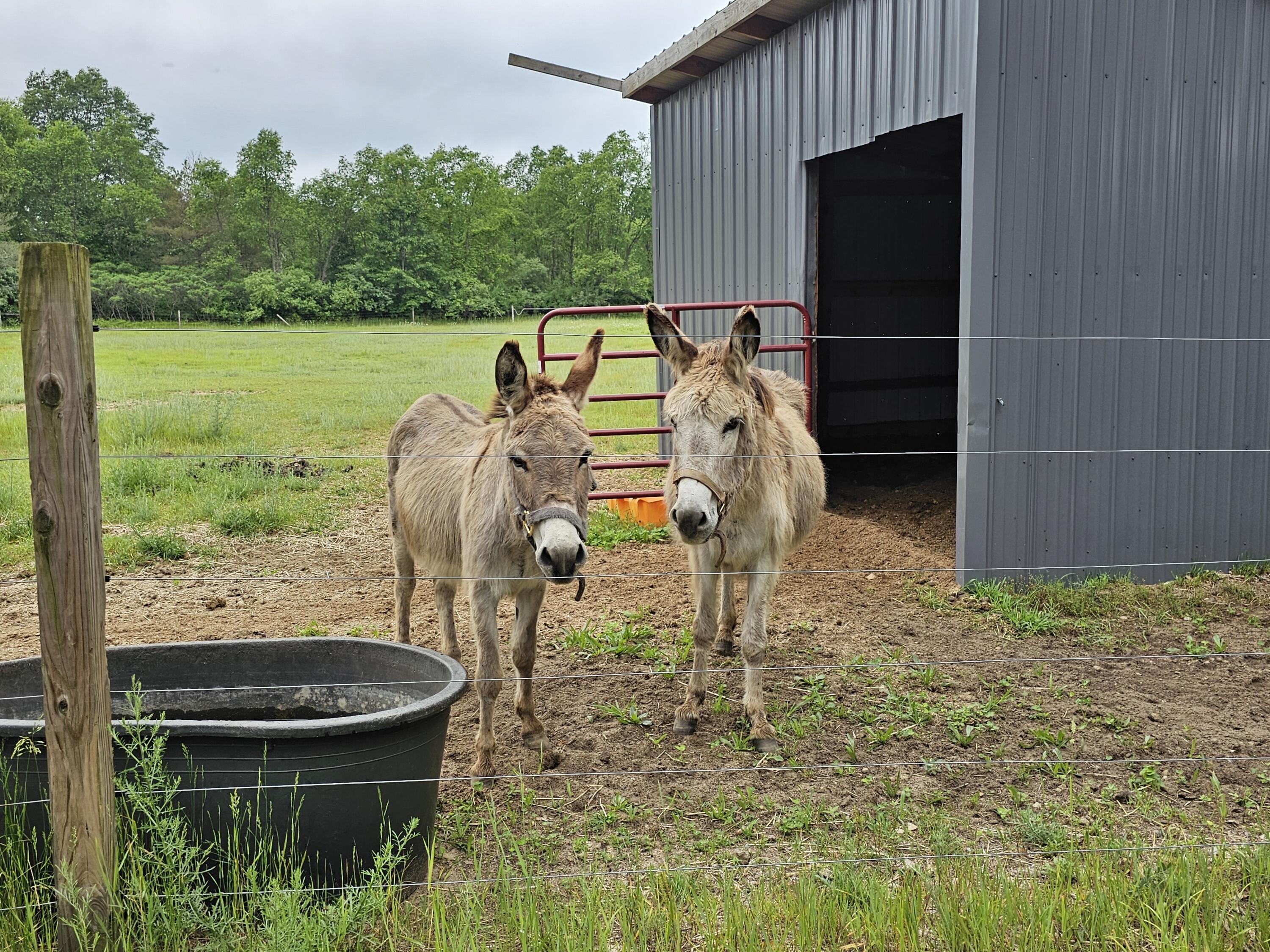 3607 West Bawkey Road Farwell, MI 48622 - Photo 50 of 61 1000010099