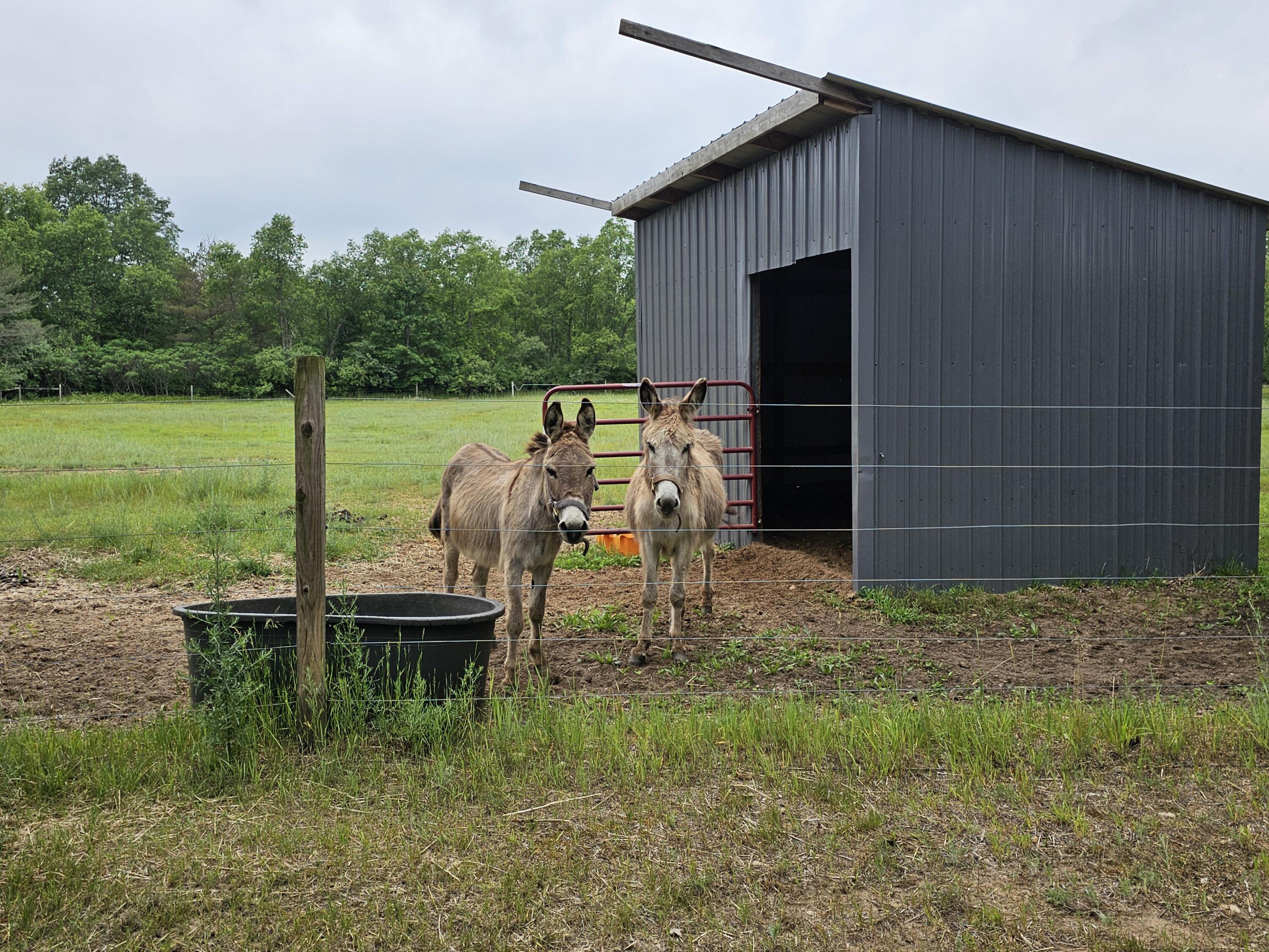 3607 West Bawkey Road Farwell, MI 48622 - Photo 51 of 61 1000010097