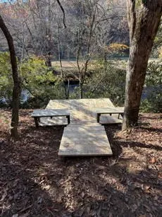 a view of a house with a yard and large trees