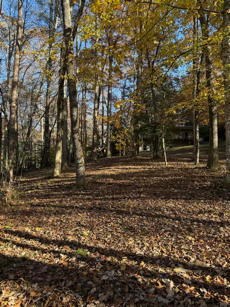 526 McDonald Road Murphy, NC 28906 - Photo 59 of 72 Lower level garage