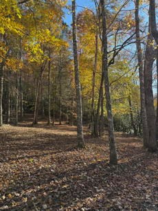 526 McDonald Road Murphy, NC 28906 - Photo 60 of 72 Spring fed stream