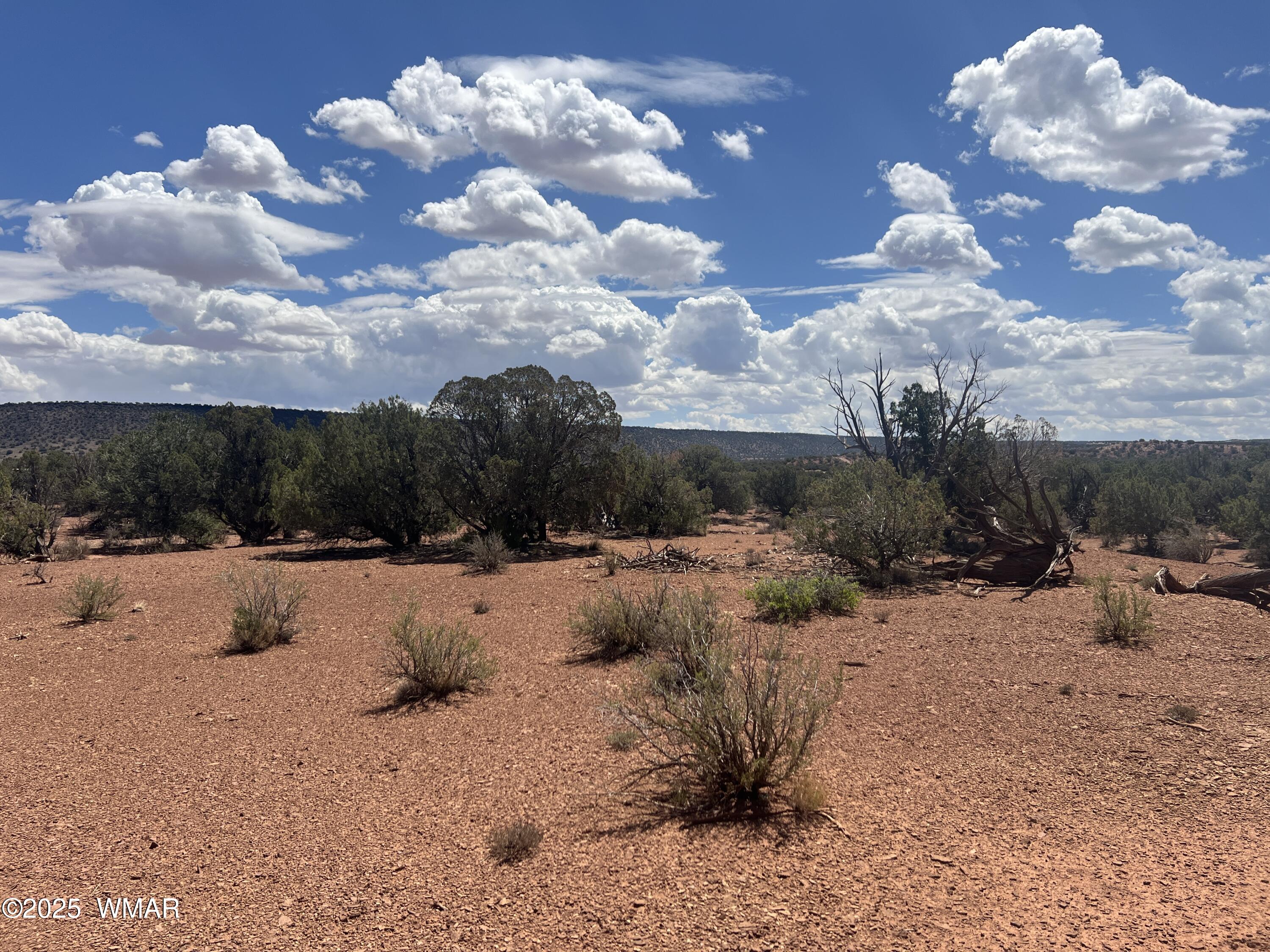3801 Tonto Road Snowflake, AZ 85937 - Photo 2 of 9 a view of a dry covered with snow