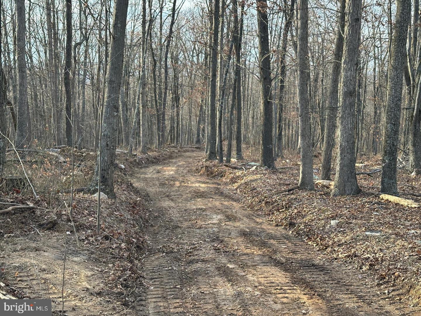 59 Back Country Road Paw Paw, WV 25434 - Photo 12 of 40