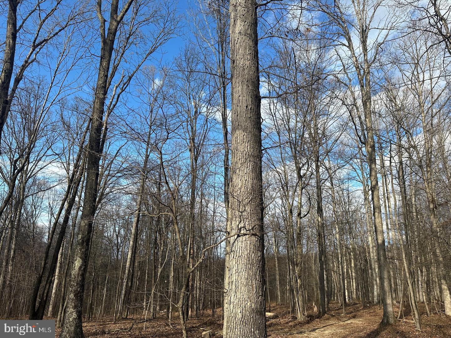 59 Back Country Road Paw Paw, WV 25434 - Photo 13 of 40