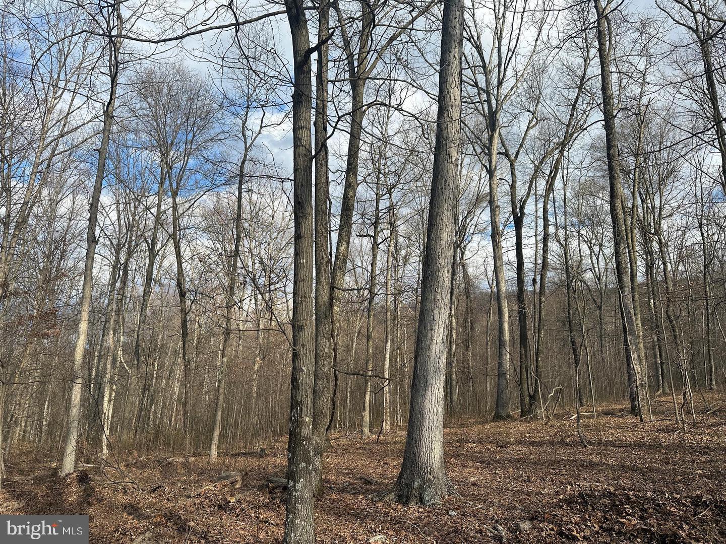 59 Back Country Road Paw Paw, WV 25434 - Photo 14 of 40