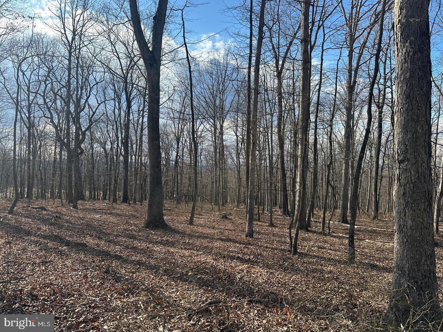 59 Back Country Road Paw Paw, WV 25434 - Photo 15 of 40