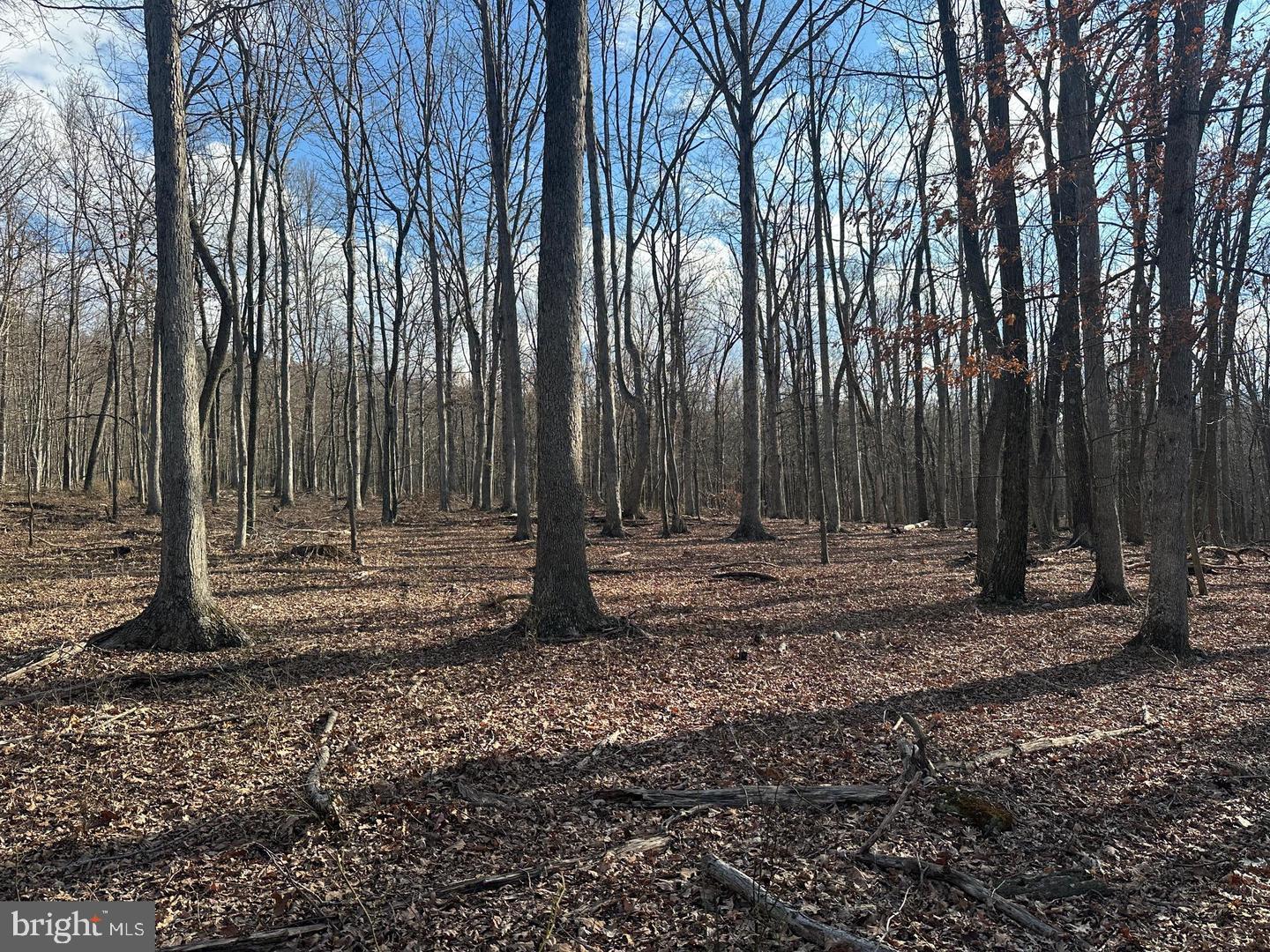 59 Back Country Road Paw Paw, WV 25434 - Photo 16 of 40