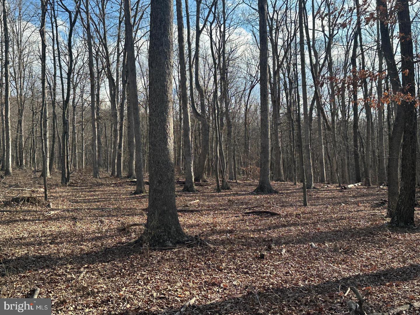 59 Back Country Road Paw Paw, WV 25434 - Photo 17 of 40