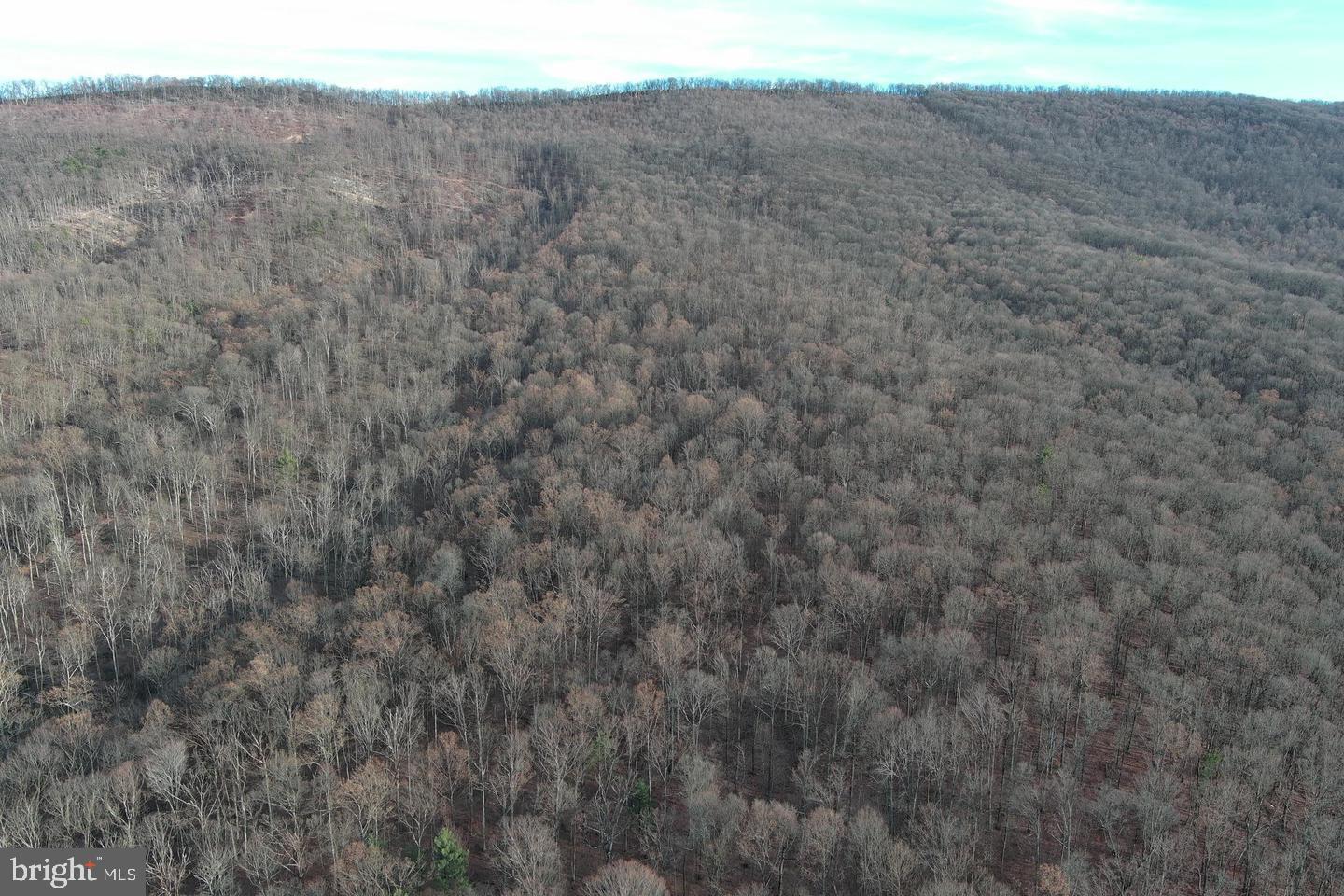 59 Back Country Road Paw Paw, WV 25434 - Photo 29 of 40