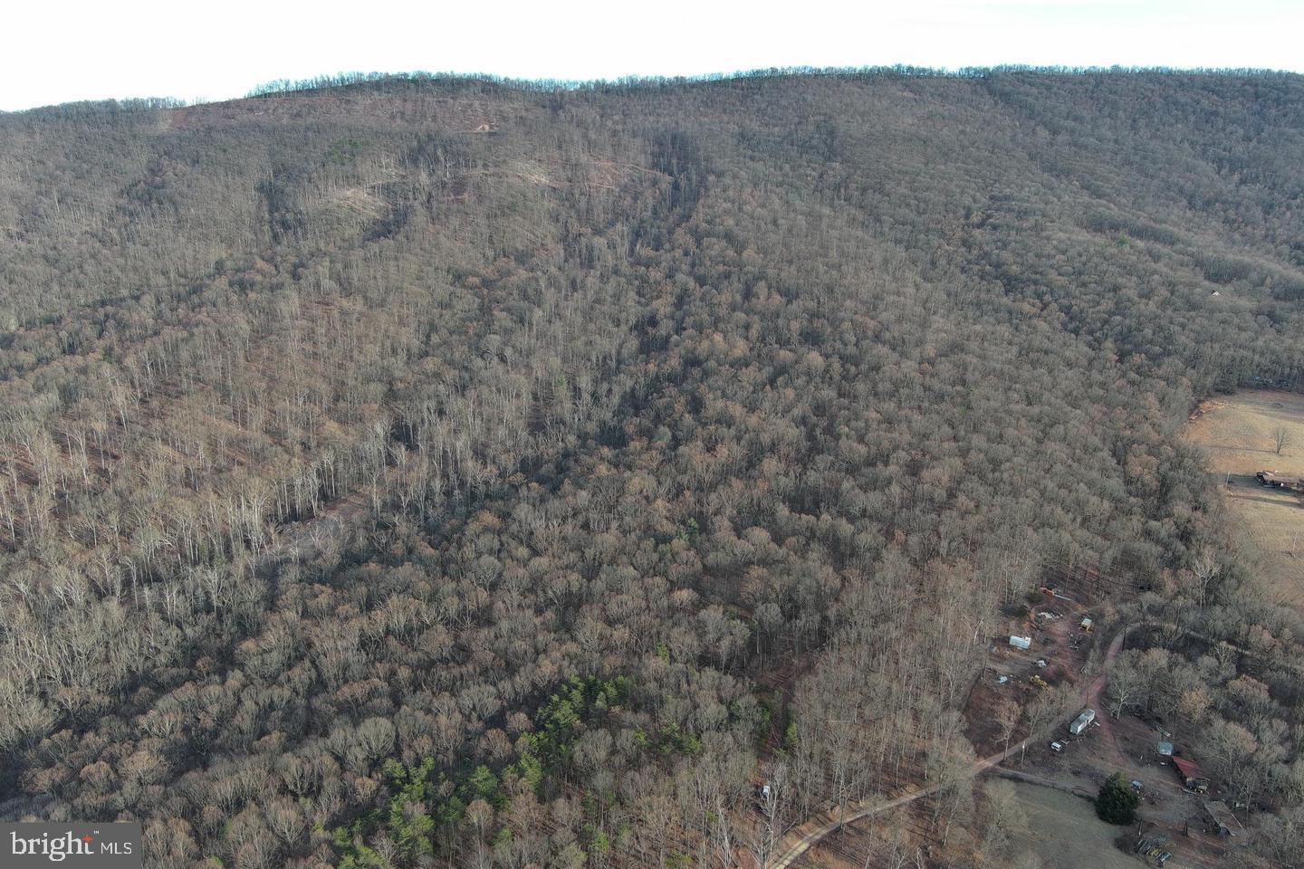 59 Back Country Road Paw Paw, WV 25434 - Photo 37 of 40