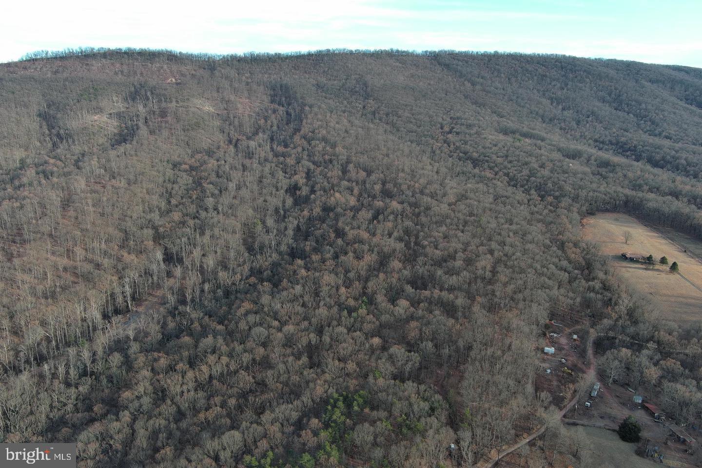 59 Back Country Road Paw Paw, WV 25434 - Photo 38 of 40