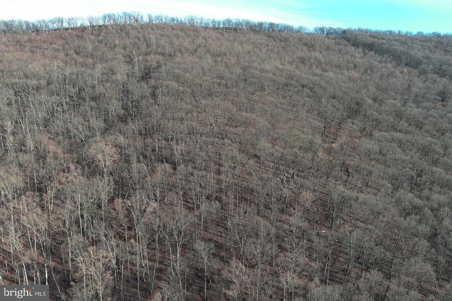 59 Back Country Road Paw Paw, WV 25434 - Photo 39 of 40