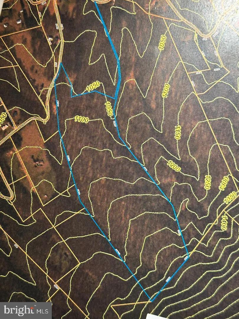 59 Back Country Road Paw Paw, WV 25434 - Photo 6 of 40