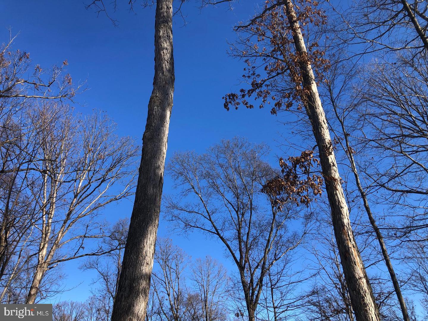 59 Back Country Road Paw Paw, WV 25434 - Photo 8 of 40