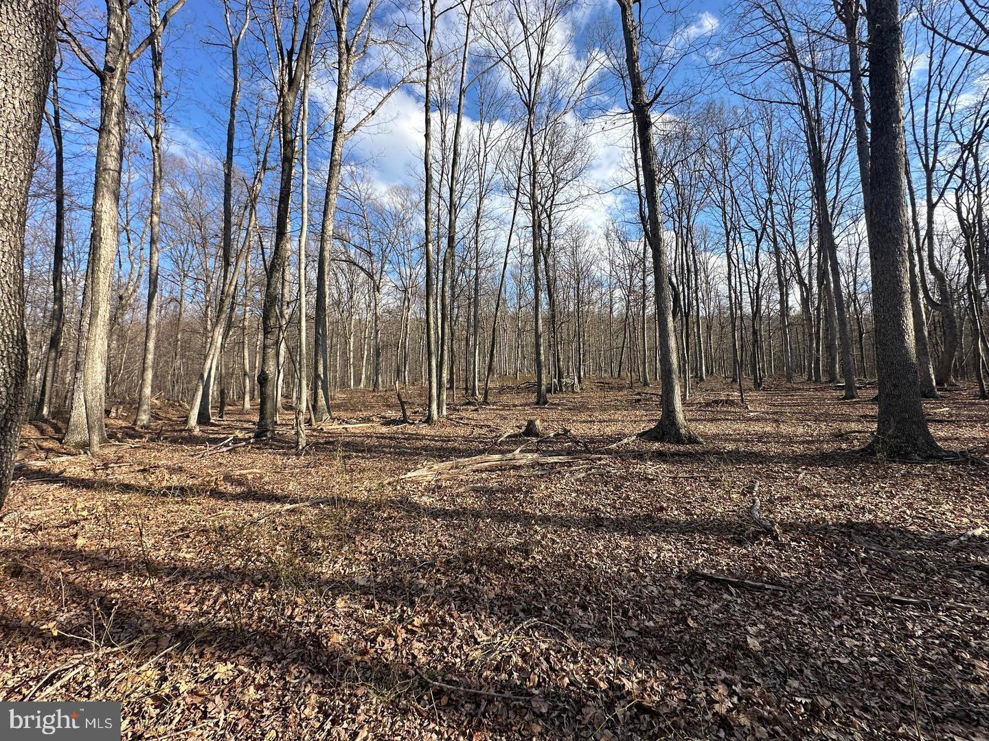 59 Back Country Road Paw Paw, WV 25434 - Photo 9 of 40