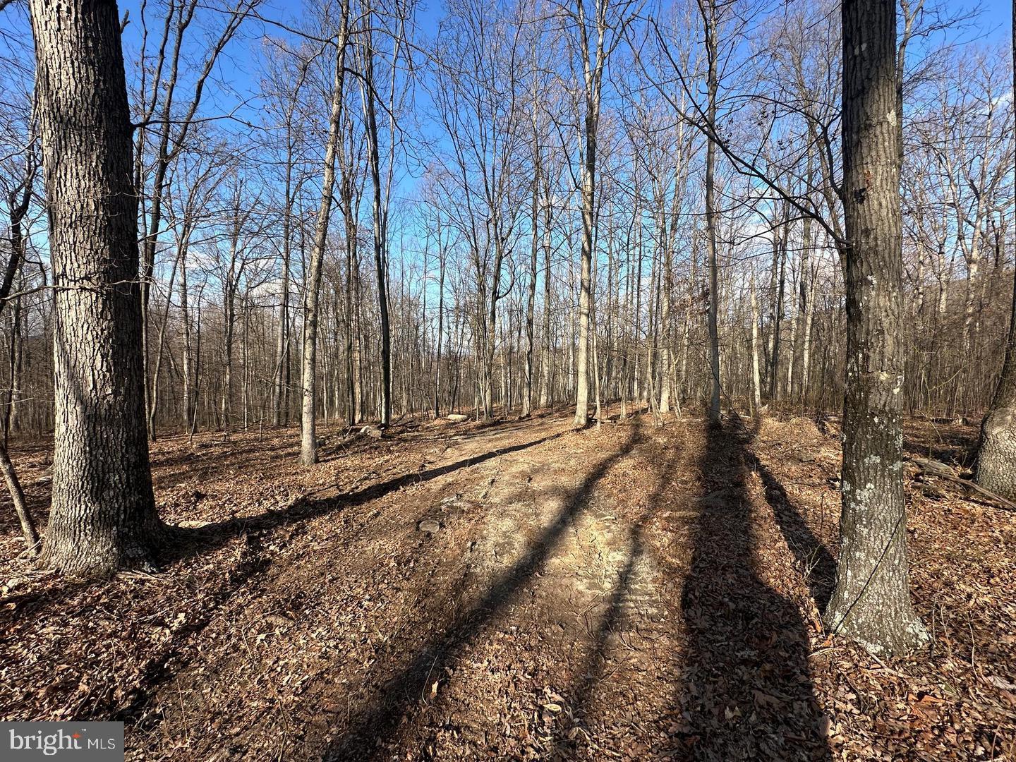 59 Back Country Road Paw Paw, WV 25434 - Photo 10 of 40