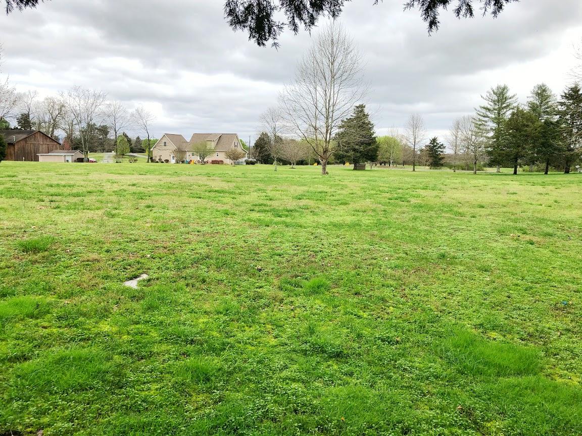 918 New Bethel Road, Unit LOT #2 REPLAT Dayton, TN 37321 - Photo 28 of 71 IMG_8359 (1)