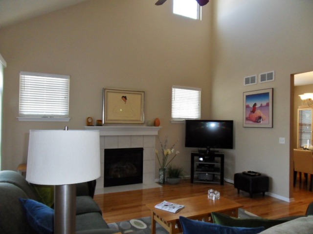 1907 Wagner Road, Unit 1907 Batavia, IL 60510 - Photo 5 of 22 a living room with furniture flat screen tv and a fireplace