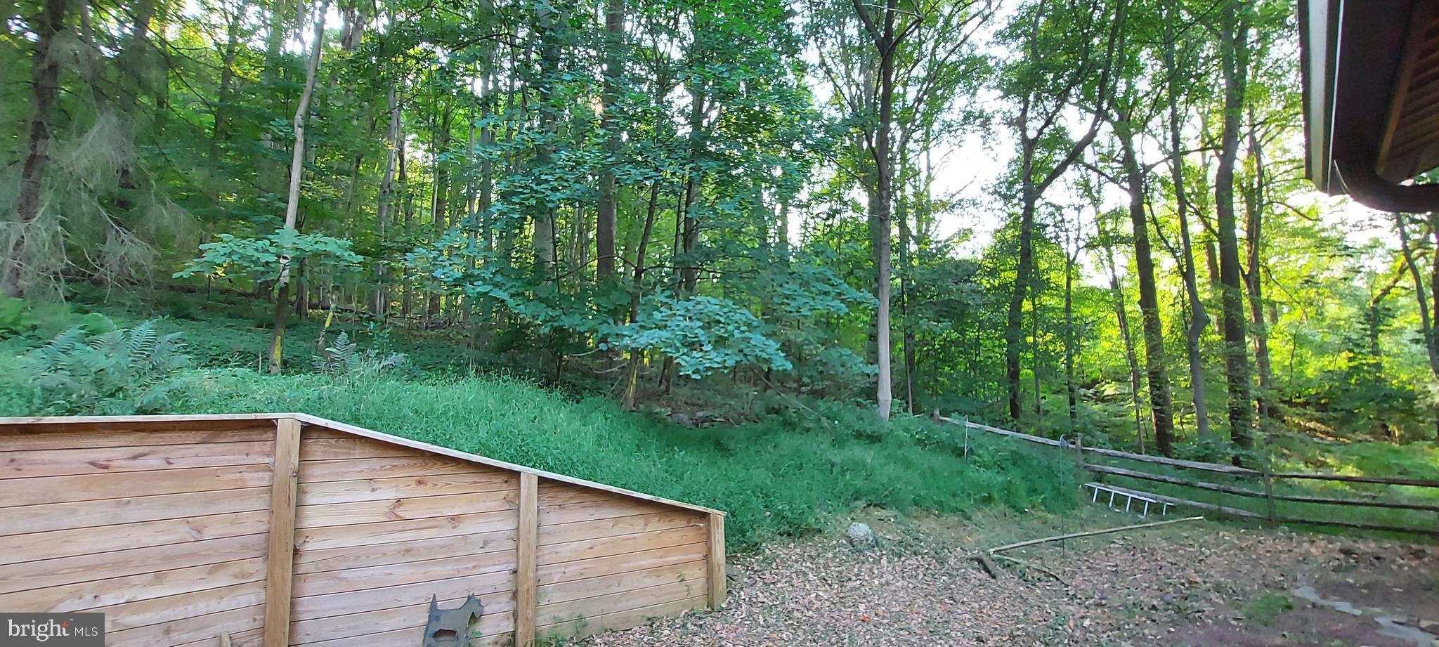 1901 Brintons Bridge Road West Chester, PA 19382 - Photo 43 of 52 Backyard view
