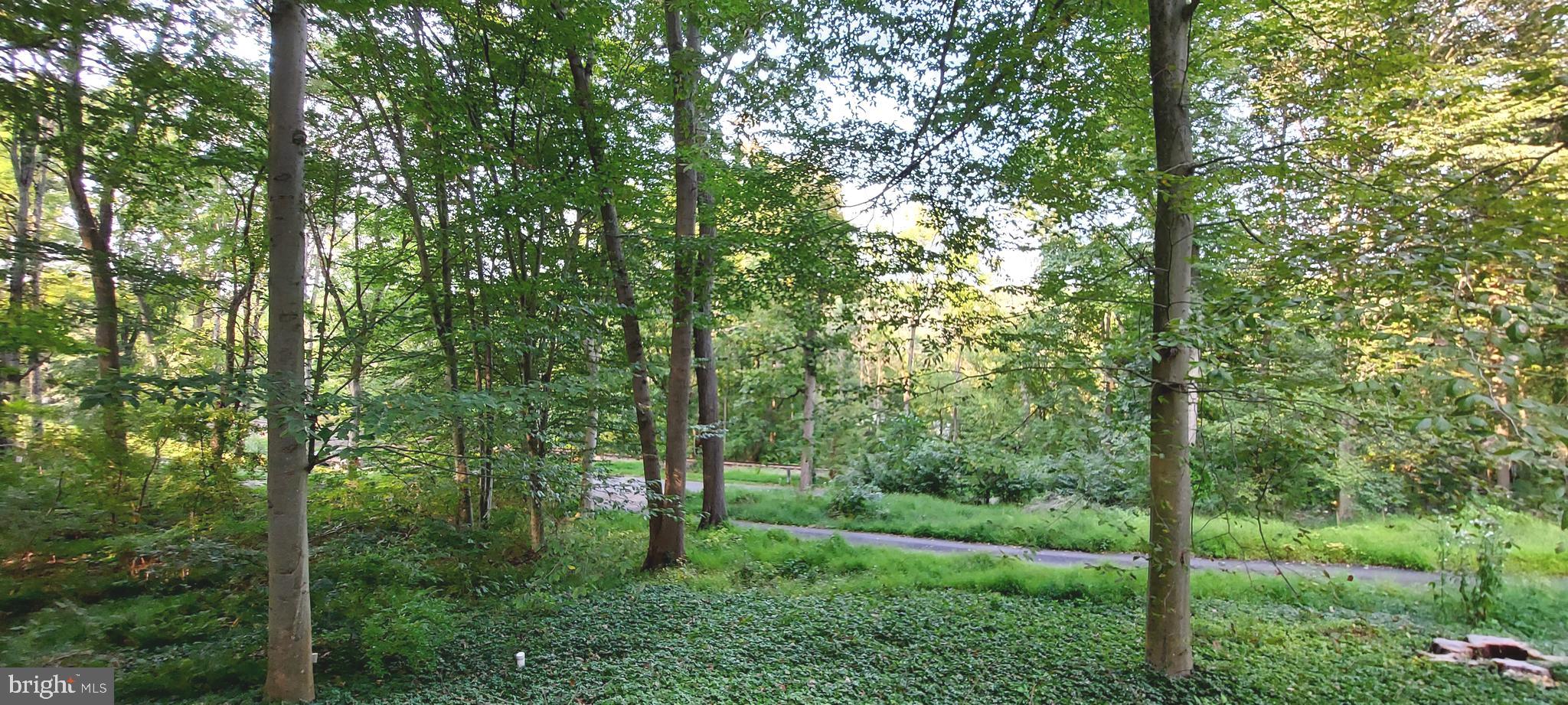 1901 Brintons Bridge Road West Chester, PA 19382 - Photo 51 of 52 Front view driveway