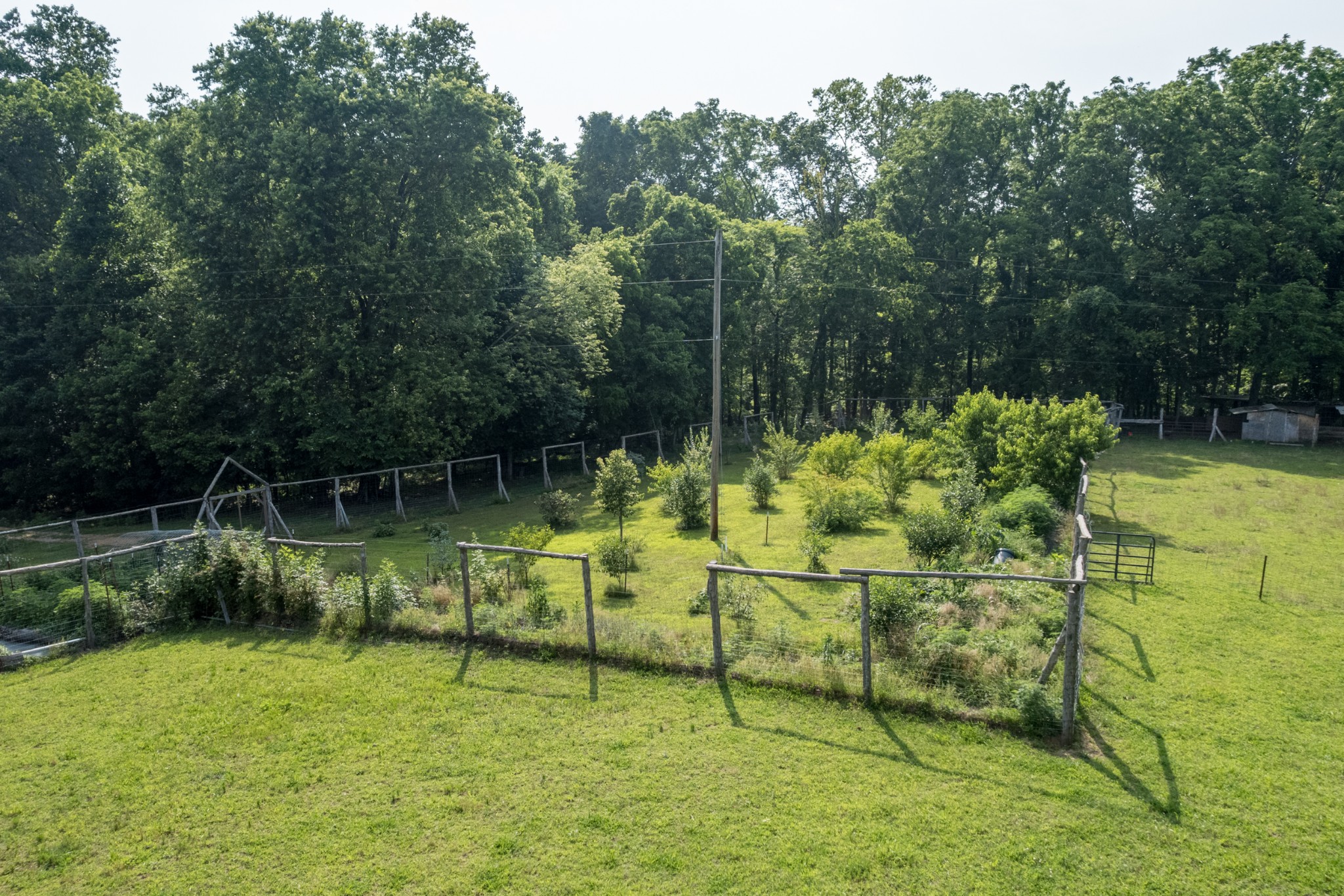 2300 Lee Road Spring Hill, TN 37174 - Photo 67 of 77