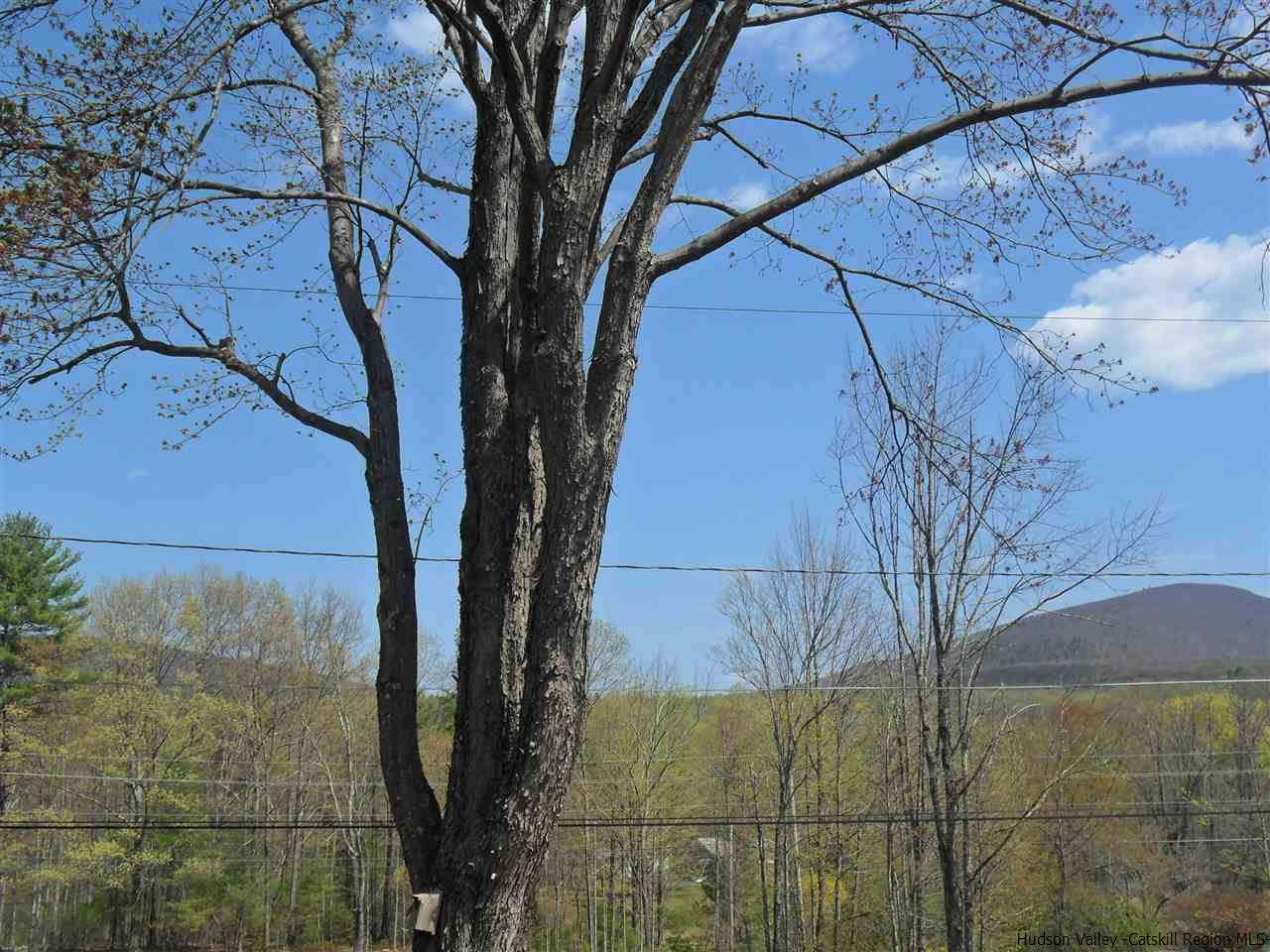36 Longyear Road Shokan, NY 12481 - Photo 4 of 35 Photo 4