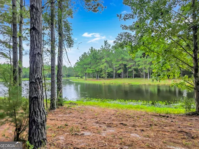 $20,000 | 0 Sidney Trace, Waverly, GA 31565