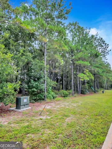 $20,000 | 0 Sidney Trace, Waverly, GA 31565