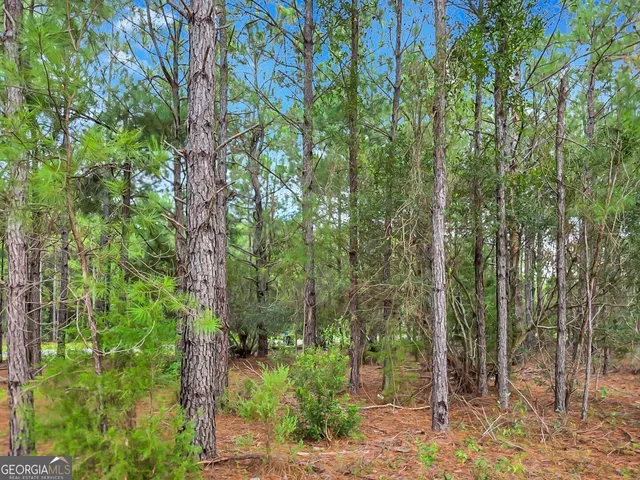 $20,000 | 0 Sidney Trace, Waverly, GA 31565