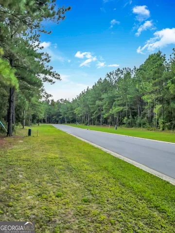 $20,000 | 0 Sidney Trace, Waverly, GA 31565