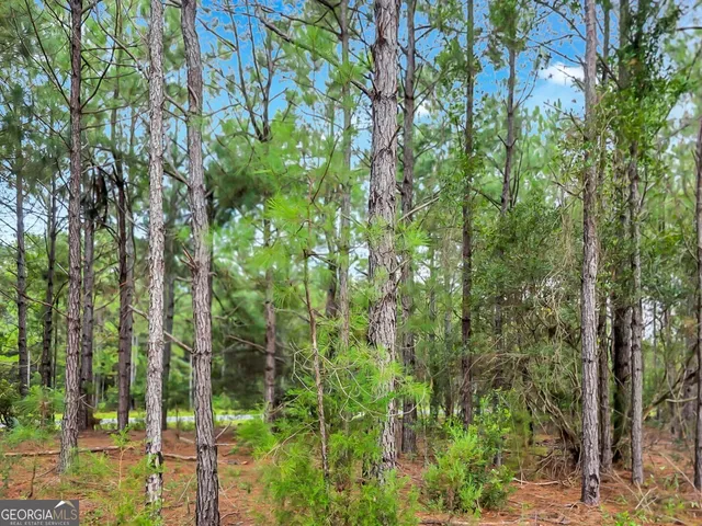 $20,000 | 0 Sidney Trace, Waverly, GA 31565