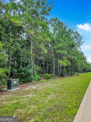 $20,000 | 0 Sidney Trace, Waverly, GA 31565