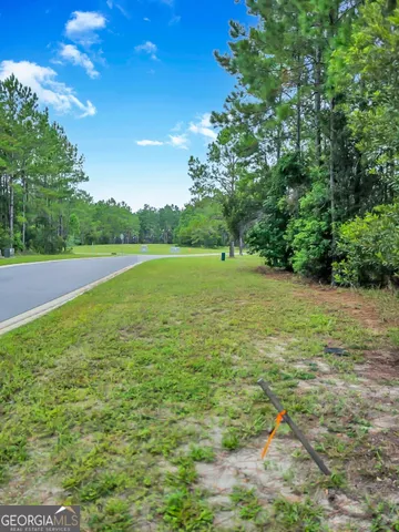 $20,000 | 0 Sidney Trace, Waverly, GA 31565