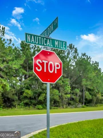 $20,000 | 0 Sidney Trace, Waverly, GA 31565